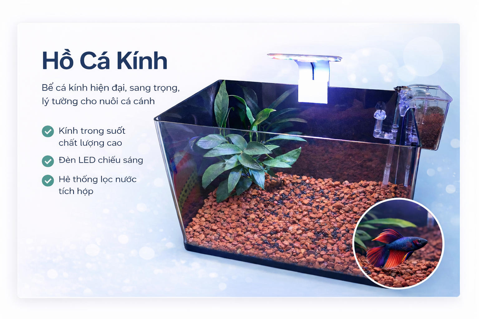 Combo Hồ cá (Hồ+Lọc+Đèn+Nền+Nắp+Decan+Nhữ Mồi)