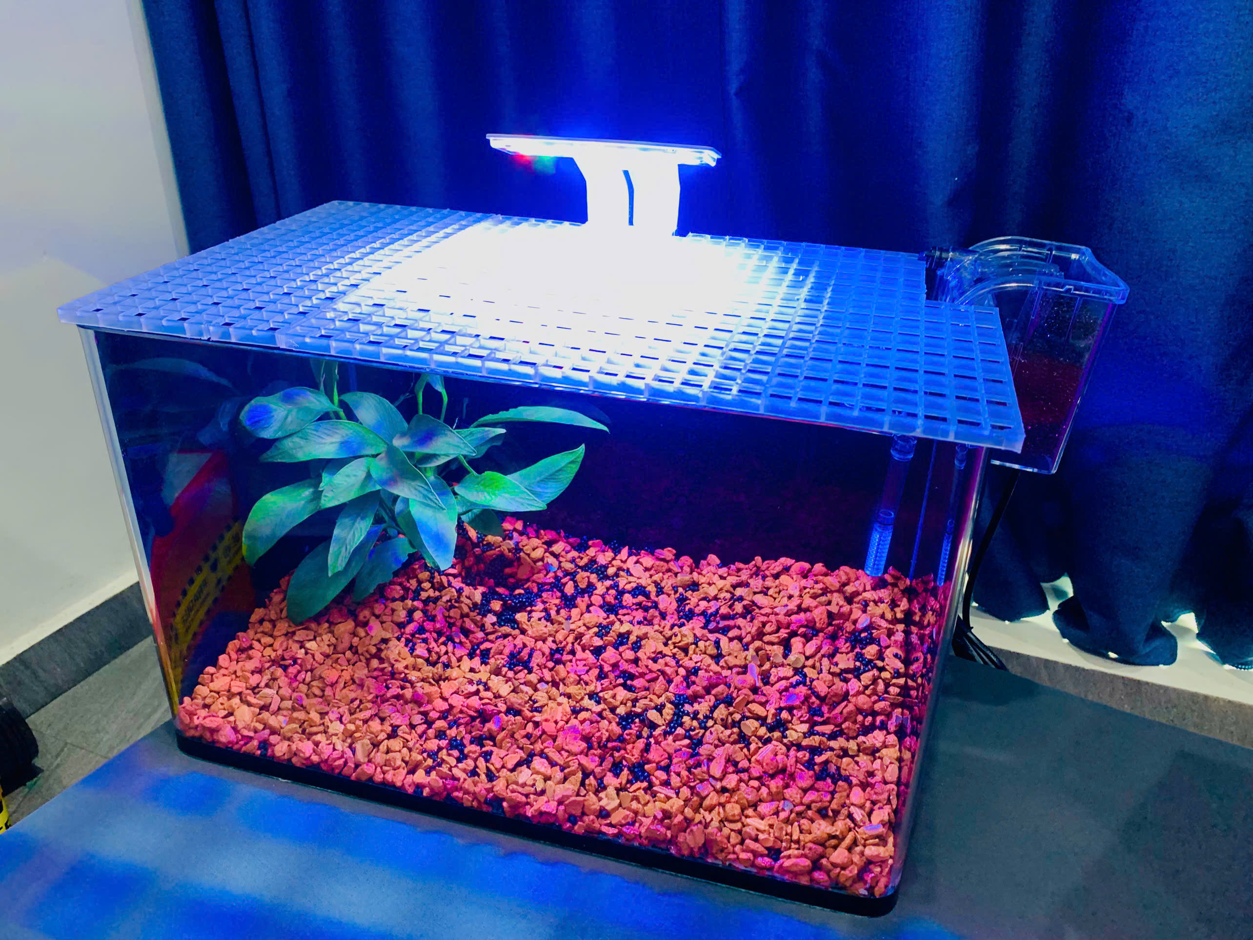 Combo Hồ cá (Hồ+Lọc+Đèn+Nền+Nắp+Decan+Nhữ Mồi)