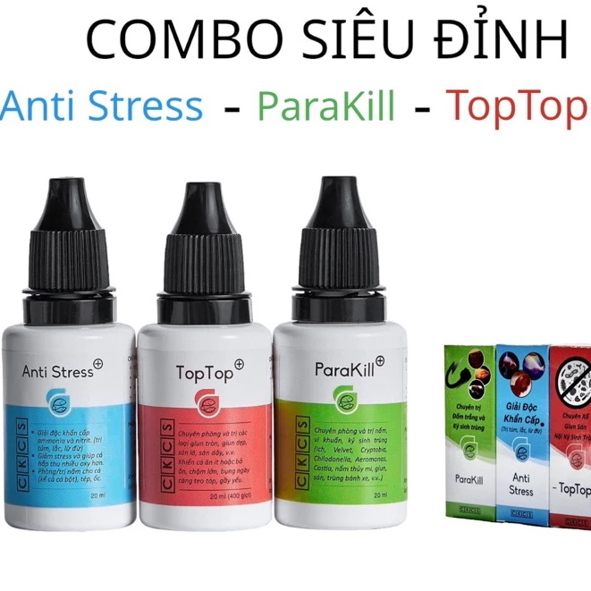 Parakill và anti stress- toptop